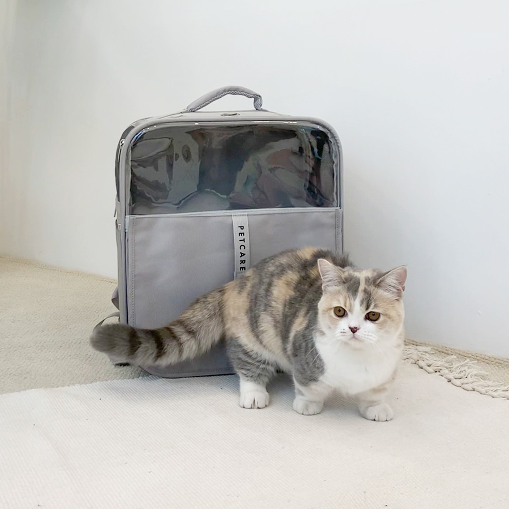 펫케어 스위트백 폴딩 사각 백팩 고양이 이동장 강아지 가방