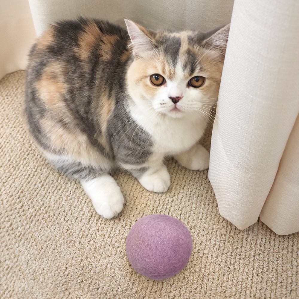 펫케어 캣드리볼 1P 소리나는 큰 양모볼 고양이 캣닢 장난감